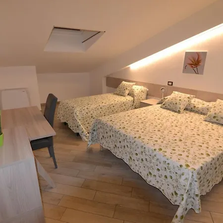 Canavaccio Urbino