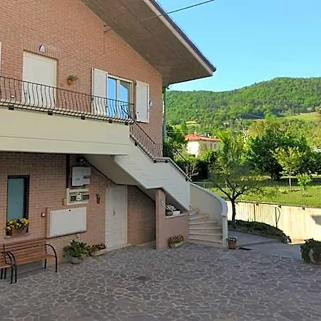 Canavaccio Urbino