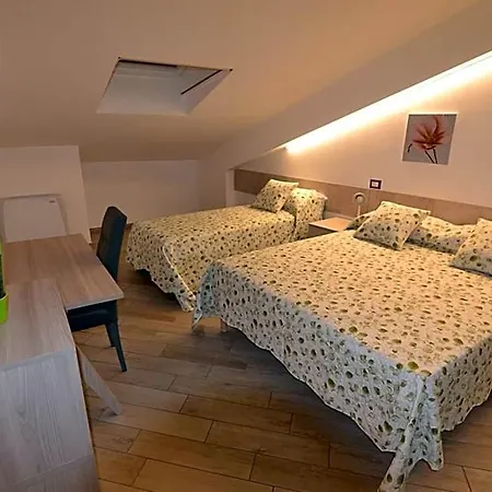 Canavaccio Urbino